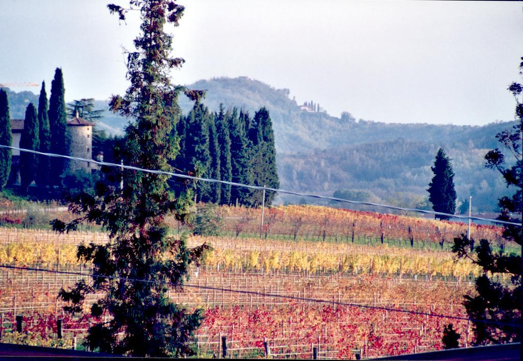 Tenuta Perusini Corno di Rosazzo Buitenkant foto