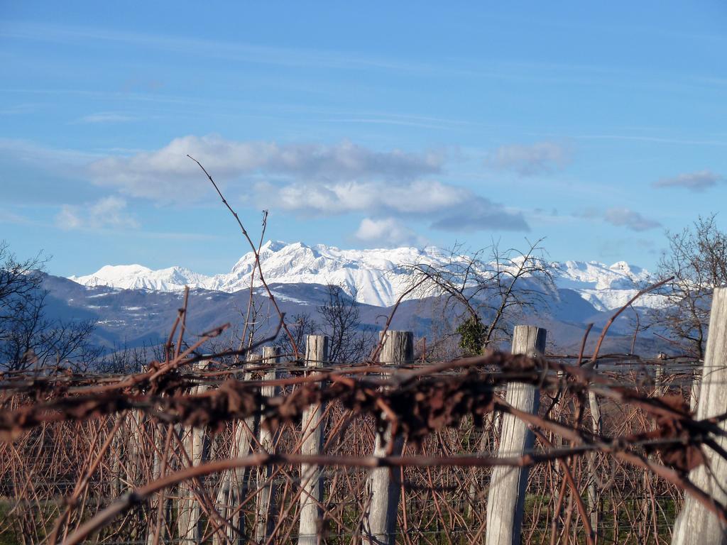 Tenuta Perusini Corno di Rosazzo Buitenkant foto